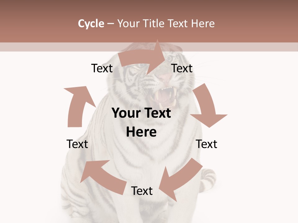 Fur Severe Female PowerPoint Template
