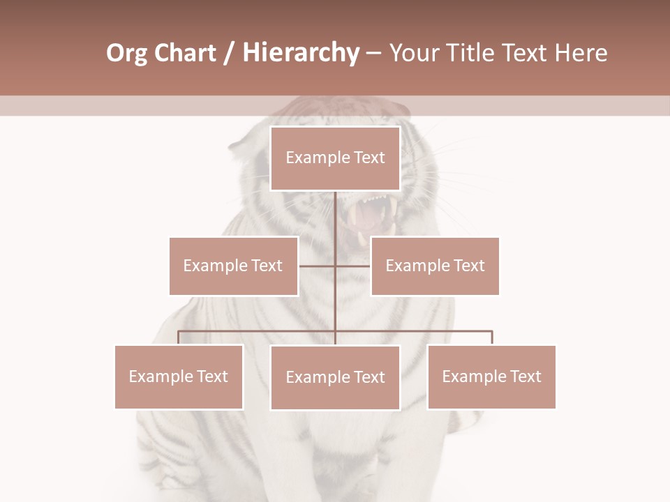 Fur Severe Female PowerPoint Template