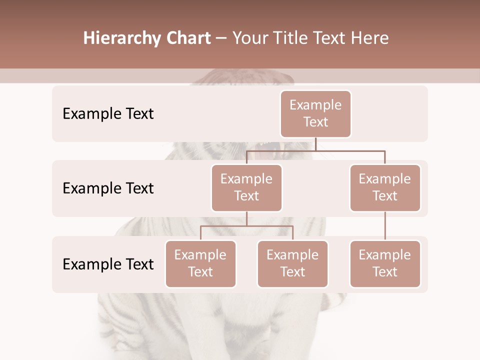Fur Severe Female PowerPoint Template