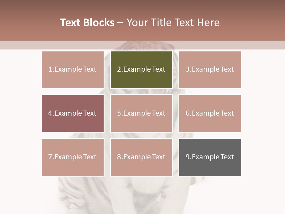 Fur Severe Female PowerPoint Template