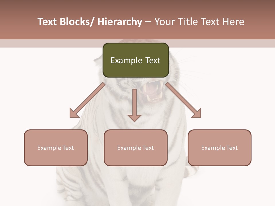 Fur Severe Female PowerPoint Template