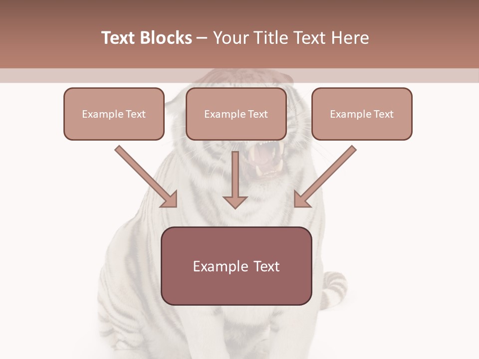 Fur Severe Female PowerPoint Template