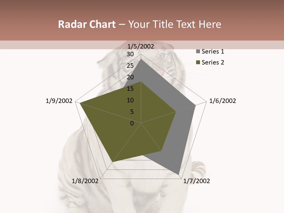 Fur Severe Female PowerPoint Template