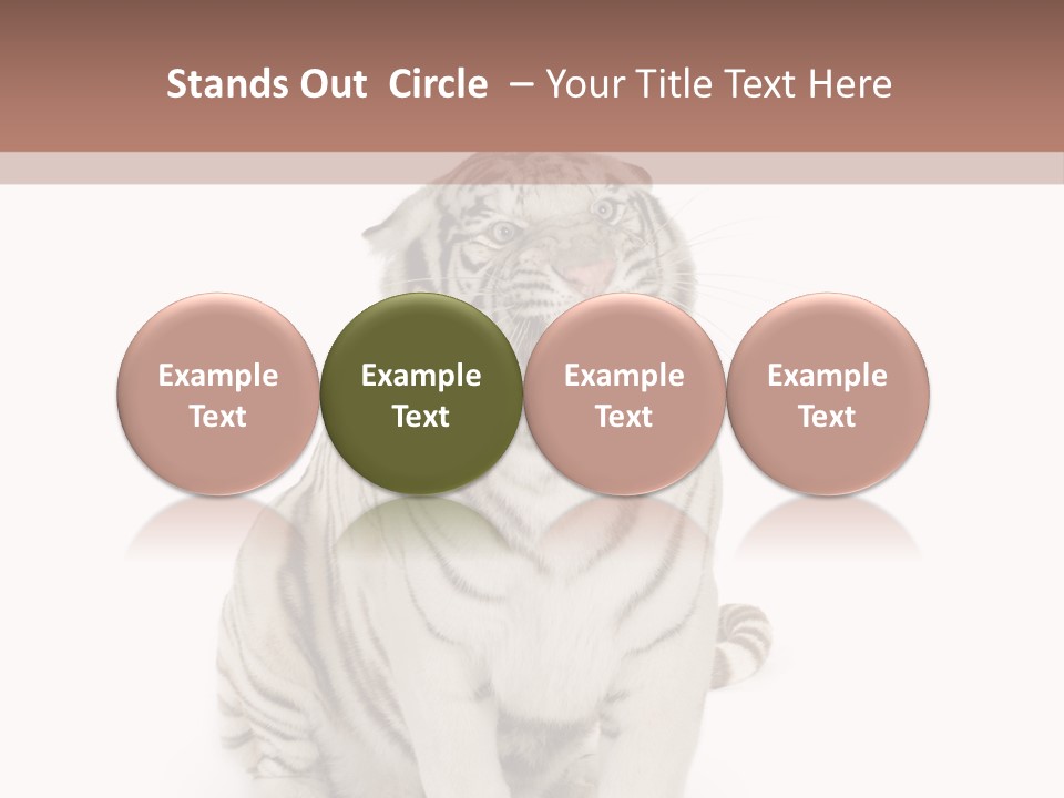 Fur Severe Female PowerPoint Template