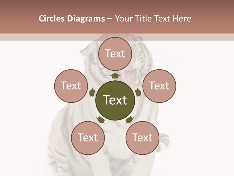 Fur Severe Female PowerPoint Template