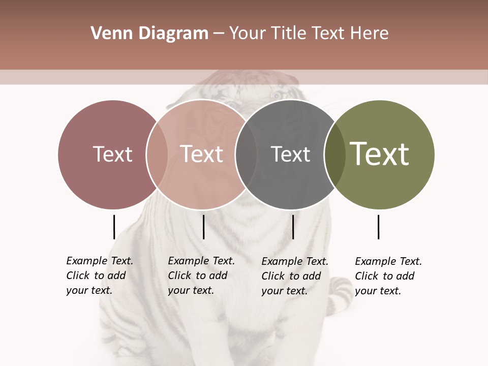 Fur Severe Female PowerPoint Template