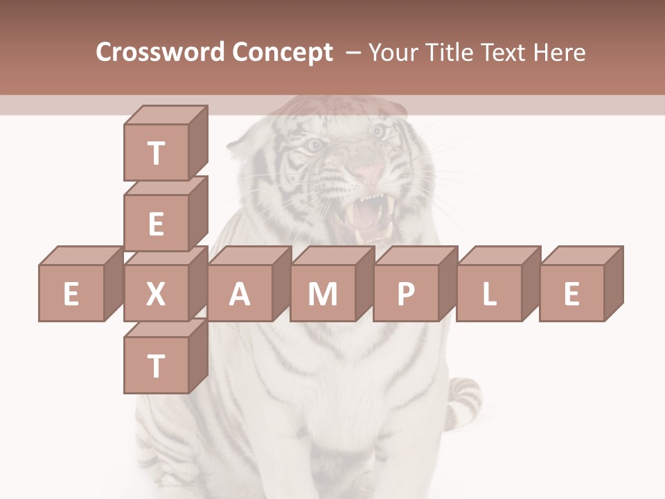 Fur Severe Female PowerPoint Template