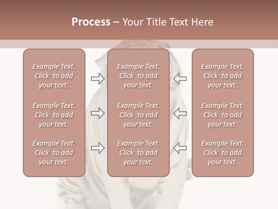 Fur Severe Female PowerPoint Template
