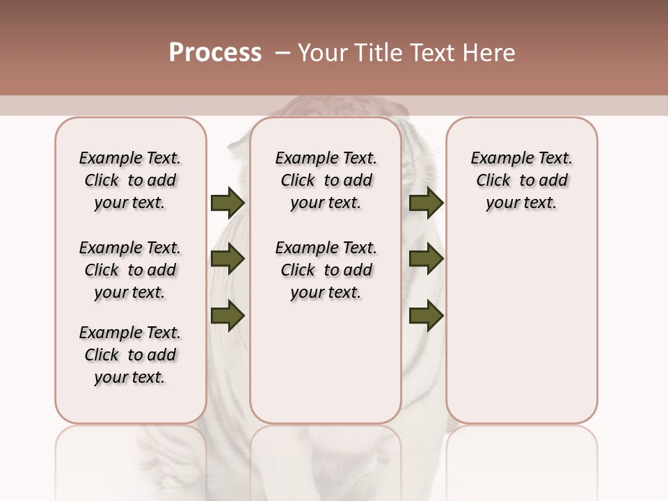 Fur Severe Female PowerPoint Template