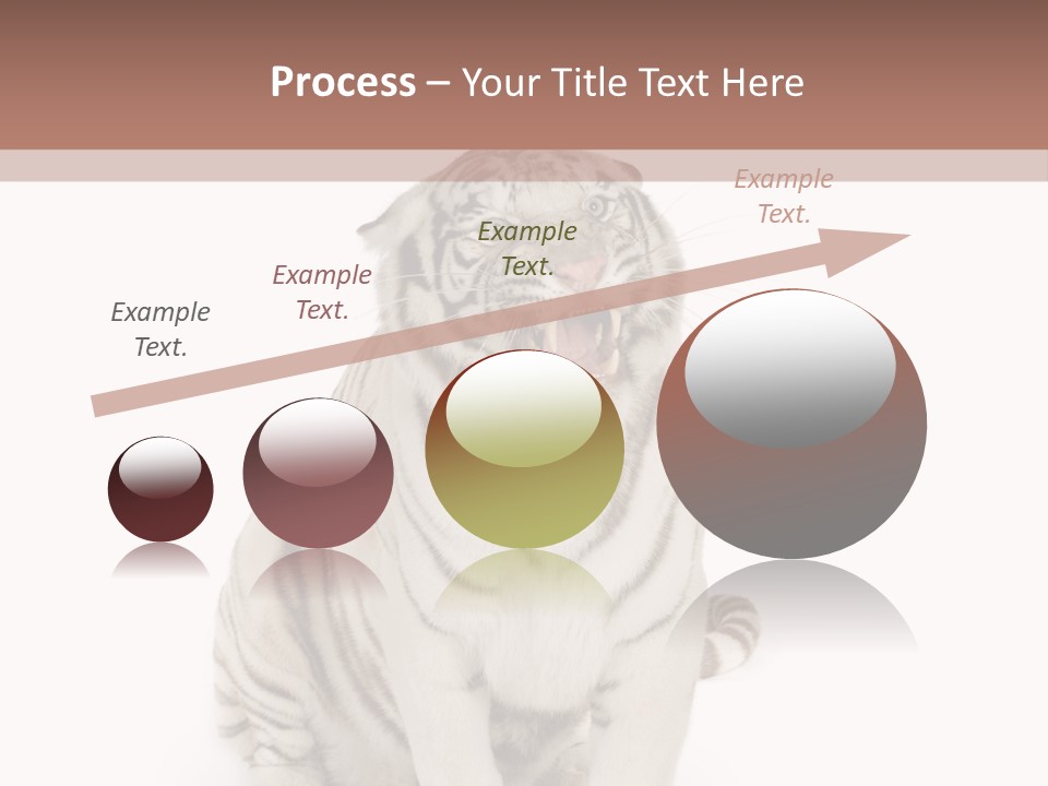 Fur Severe Female PowerPoint Template