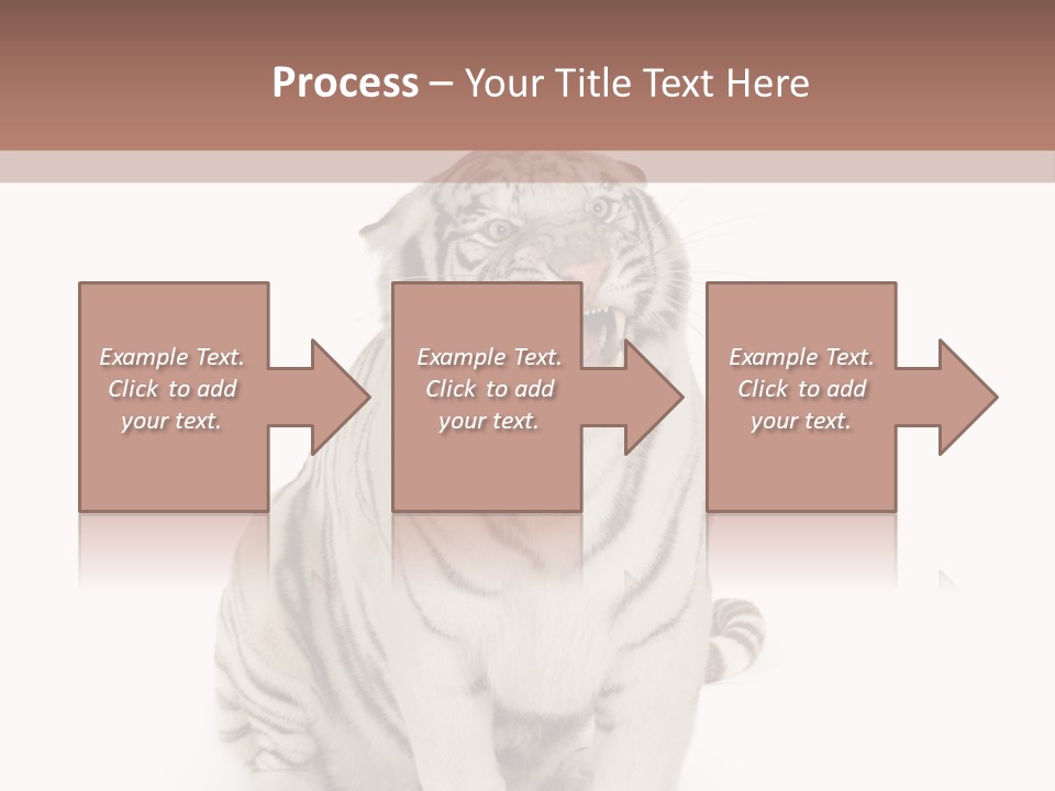 Fur Severe Female PowerPoint Template
