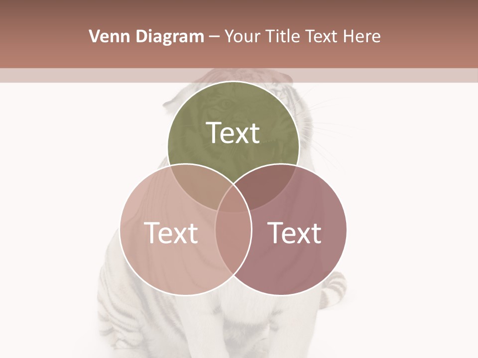 Fur Severe Female PowerPoint Template