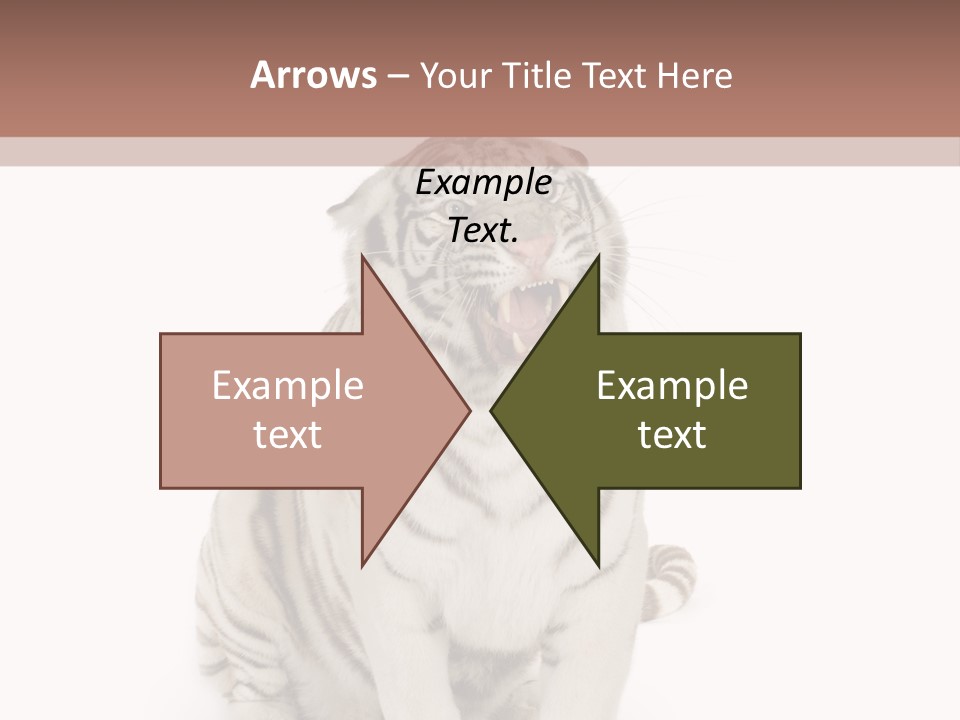 Fur Severe Female PowerPoint Template