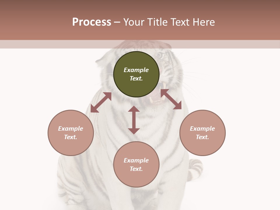 Fur Severe Female PowerPoint Template