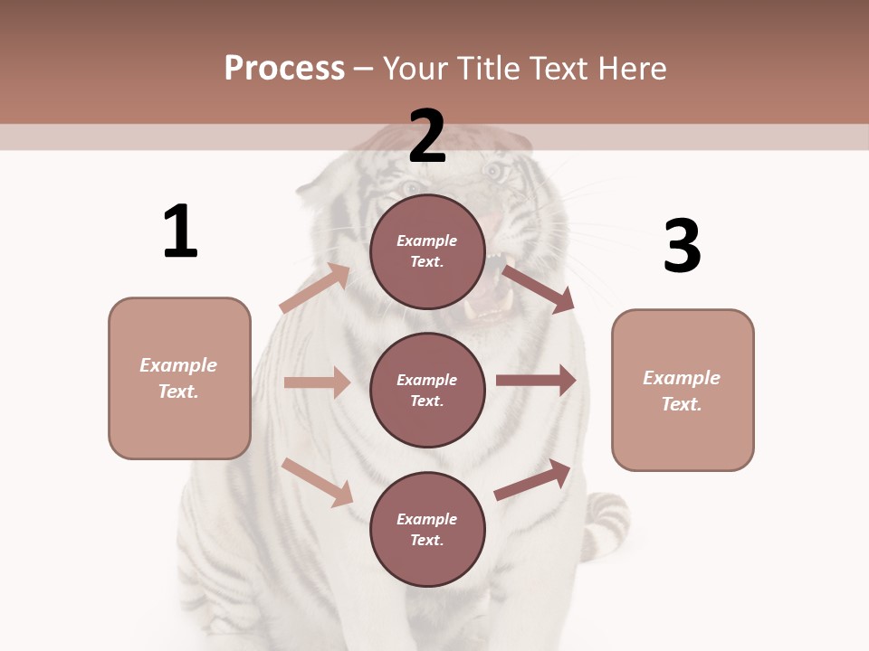 Fur Severe Female PowerPoint Template