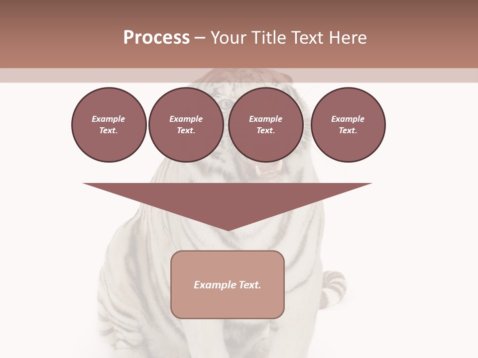 Fur Severe Female PowerPoint Template