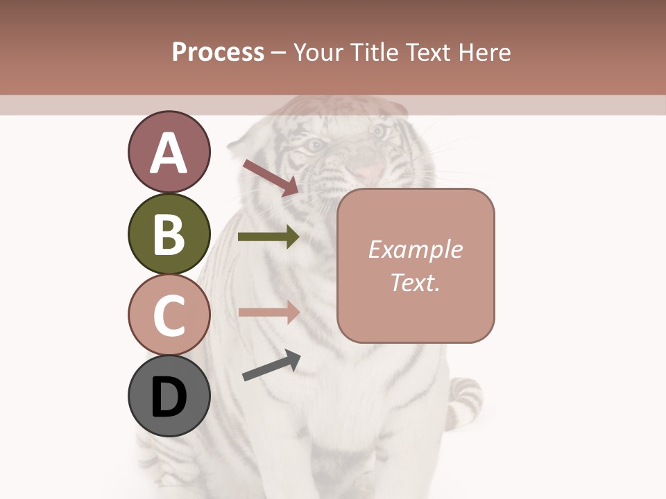 Fur Severe Female PowerPoint Template