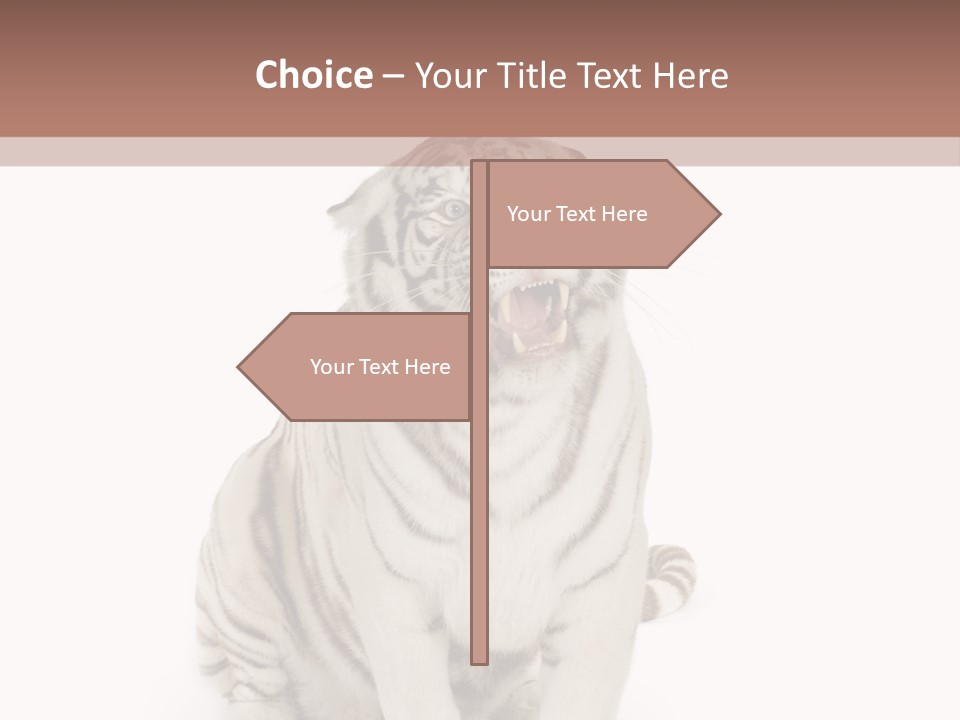 Fur Severe Female PowerPoint Template