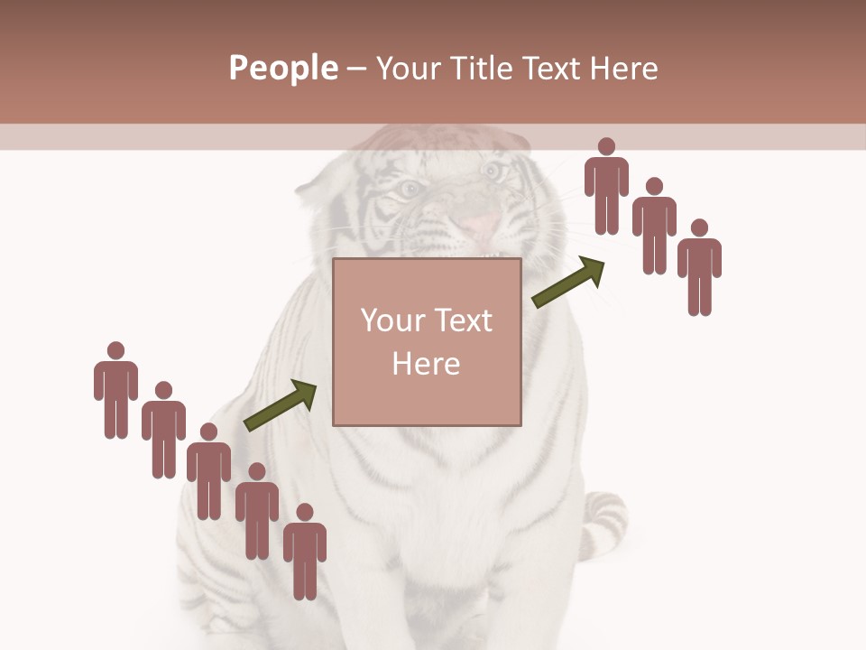 Fur Severe Female PowerPoint Template