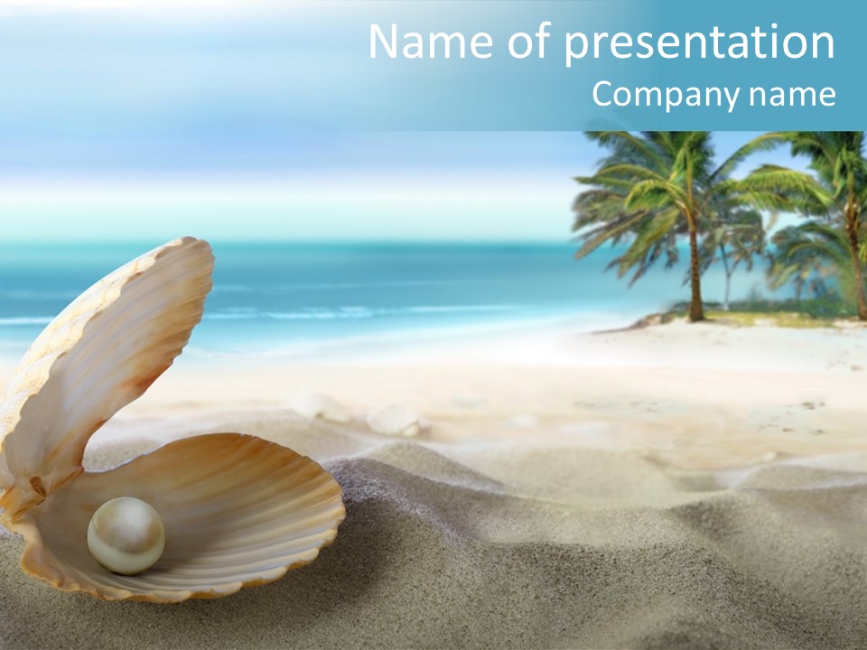 Scenic Seashell Water PowerPoint Template