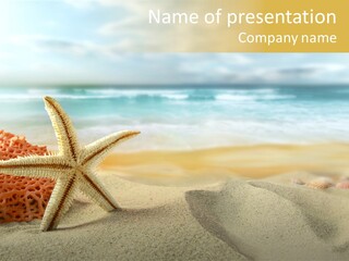 Idyllic Riviera Reef PowerPoint Template