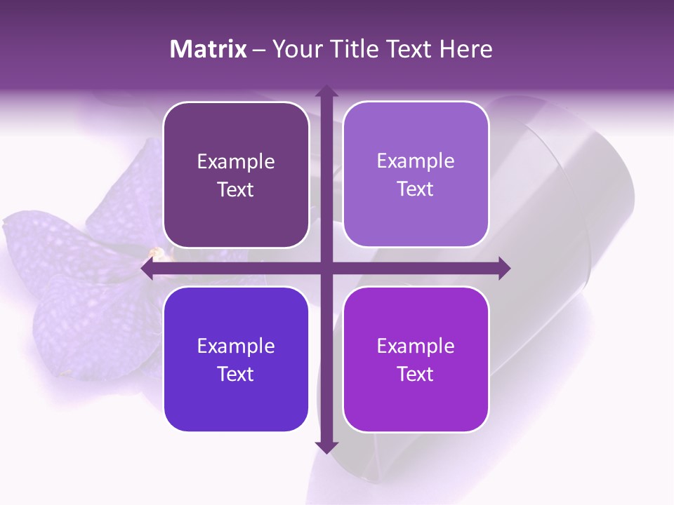 Stylist Fashion Domestic PowerPoint Template