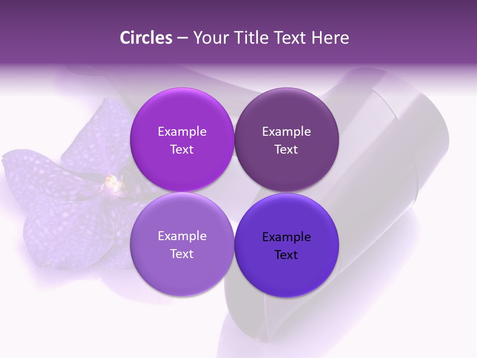 Stylist Fashion Domestic PowerPoint Template