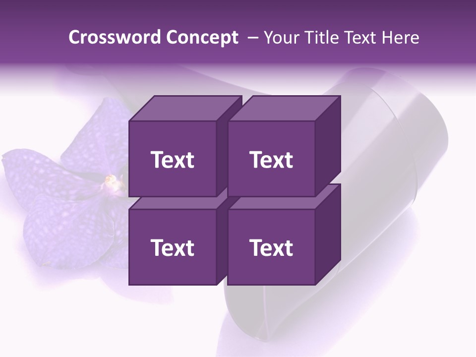 Stylist Fashion Domestic PowerPoint Template