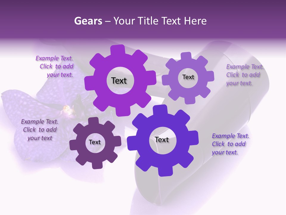 Stylist Fashion Domestic PowerPoint Template