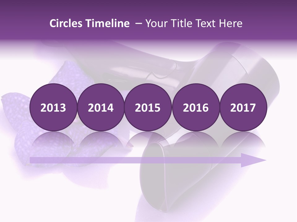 Stylist Fashion Domestic PowerPoint Template