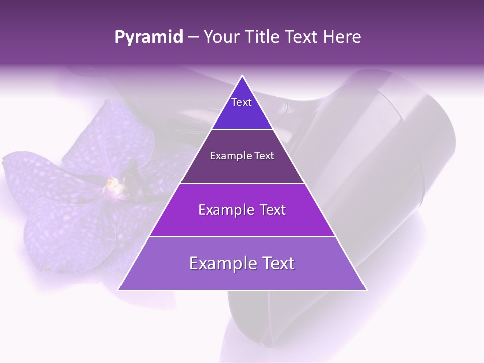 Stylist Fashion Domestic PowerPoint Template