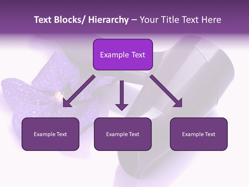 Stylist Fashion Domestic PowerPoint Template