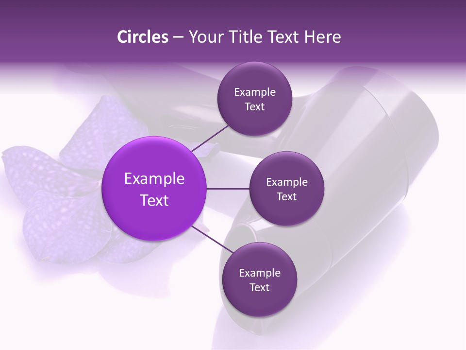 Stylist Fashion Domestic PowerPoint Template