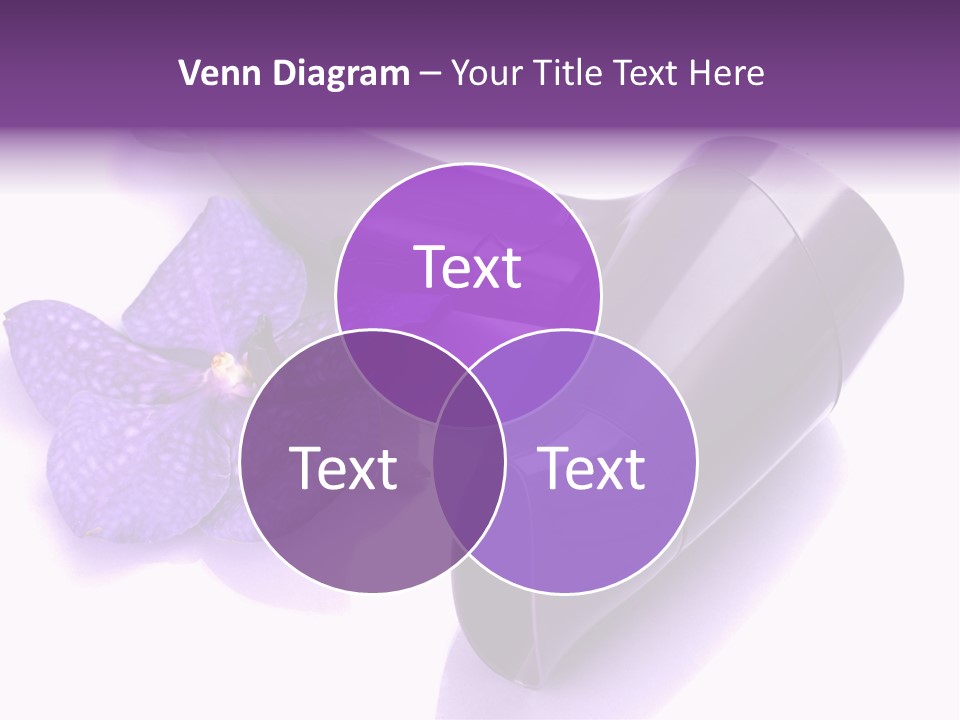 Stylist Fashion Domestic PowerPoint Template