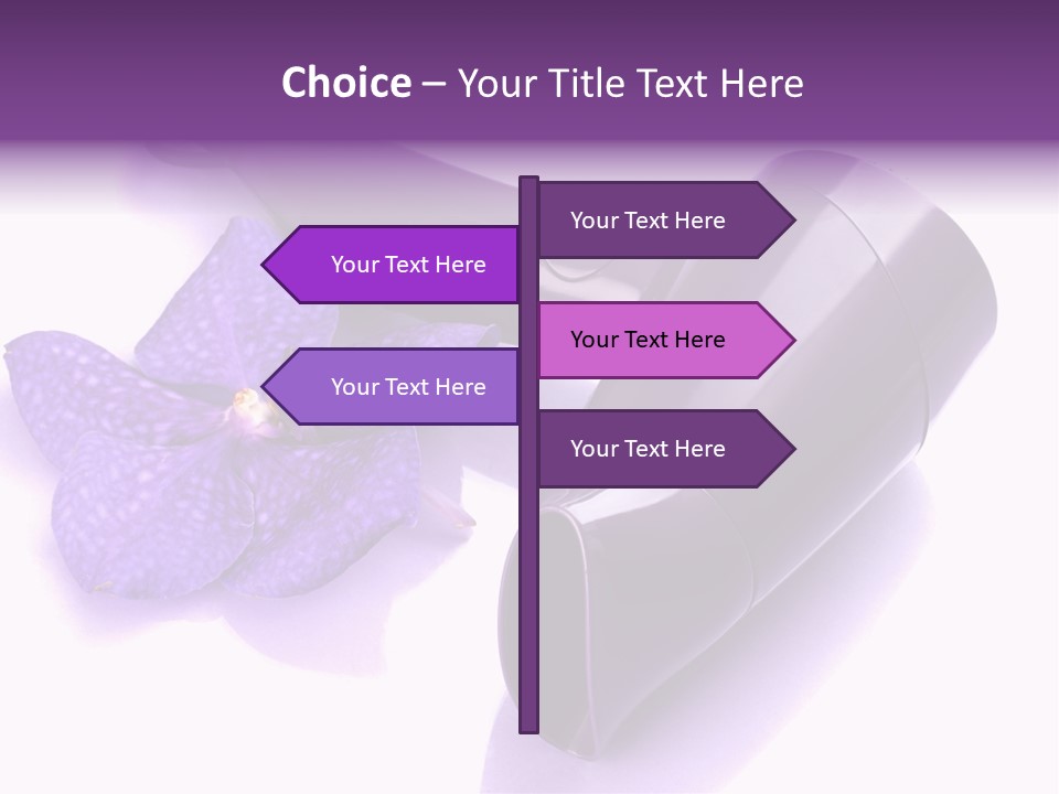 Stylist Fashion Domestic PowerPoint Template