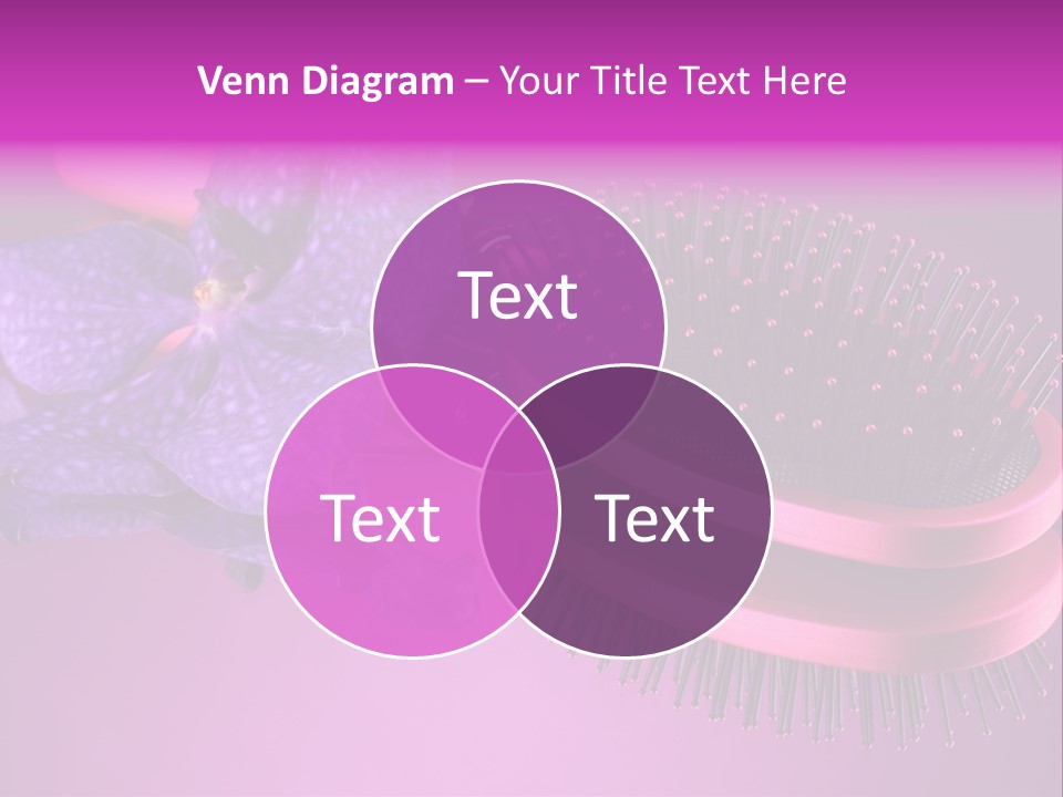 Bright Vivid Hairbrush PowerPoint Template