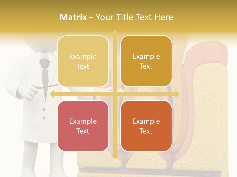 Human Concept Person PowerPoint Template