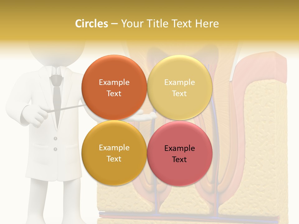 Human Concept Person PowerPoint Template
