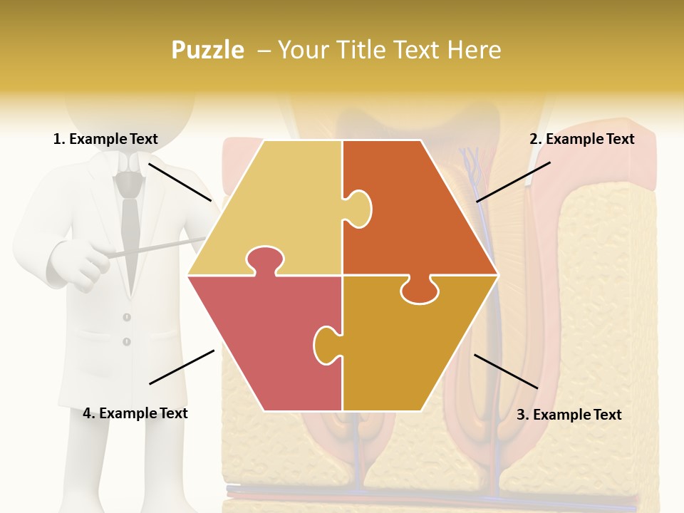 Human Concept Person PowerPoint Template