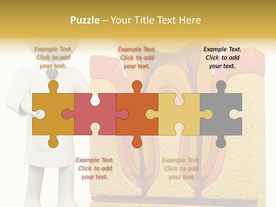 Human Concept Person PowerPoint Template