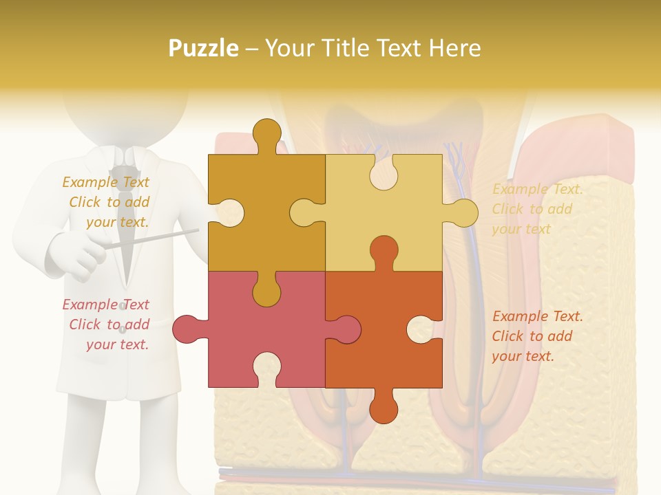 Human Concept Person PowerPoint Template