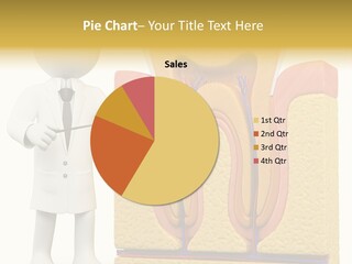 Human Concept Person PowerPoint Template