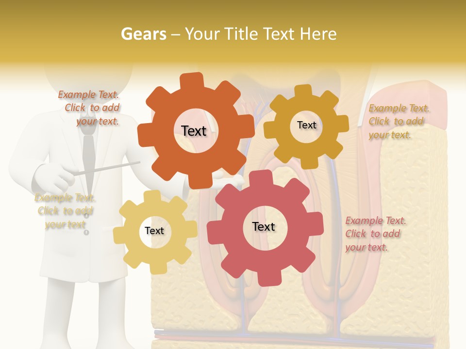 Human Concept Person PowerPoint Template