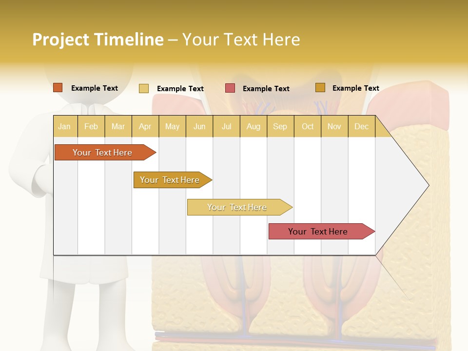Human Concept Person PowerPoint Template