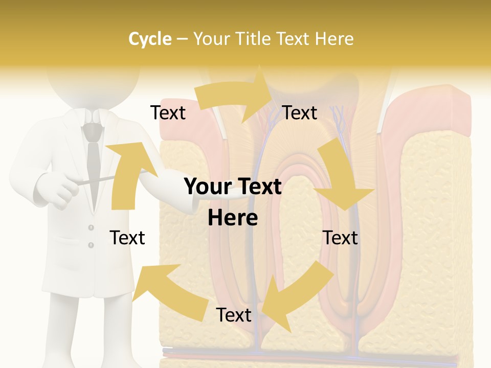 Human Concept Person PowerPoint Template