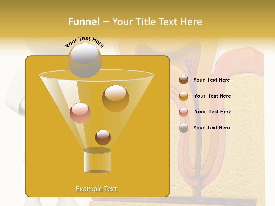 Human Concept Person PowerPoint Template