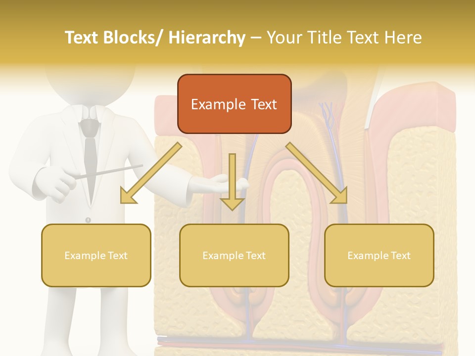 Human Concept Person PowerPoint Template