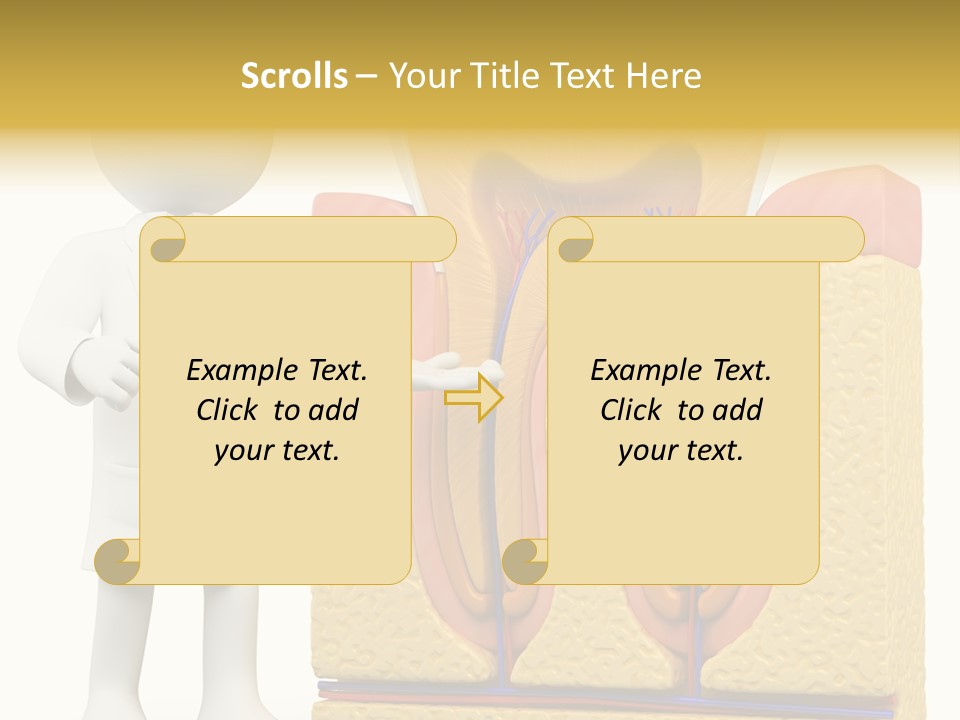 Human Concept Person PowerPoint Template