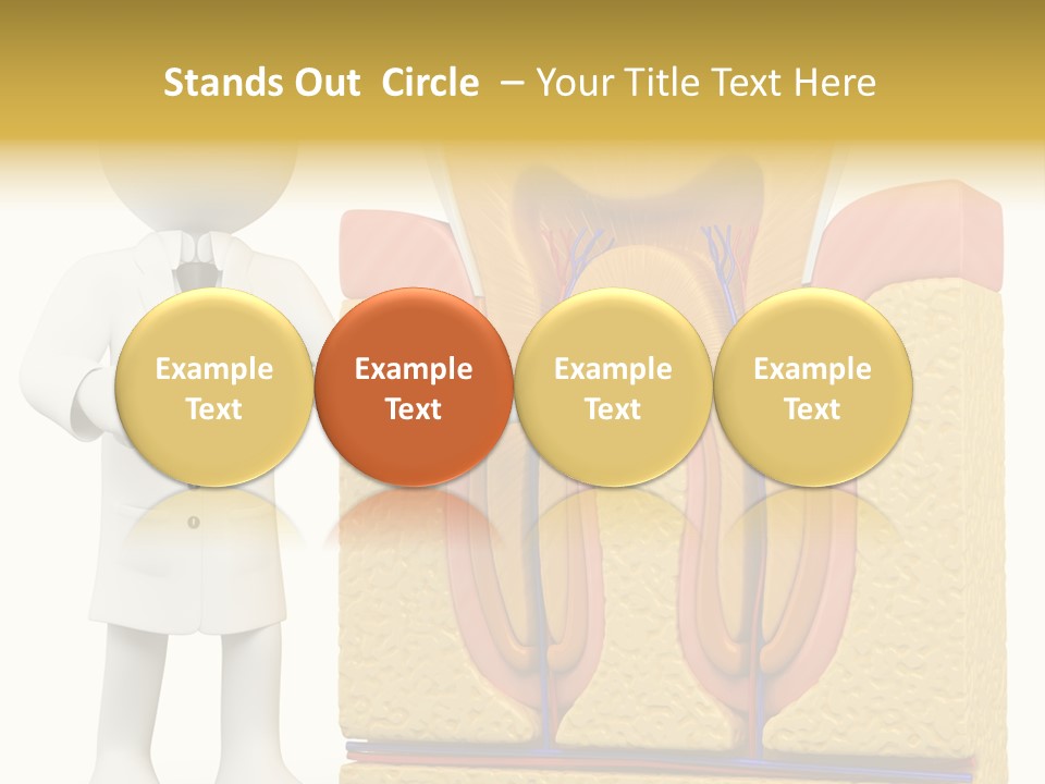 Human Concept Person PowerPoint Template