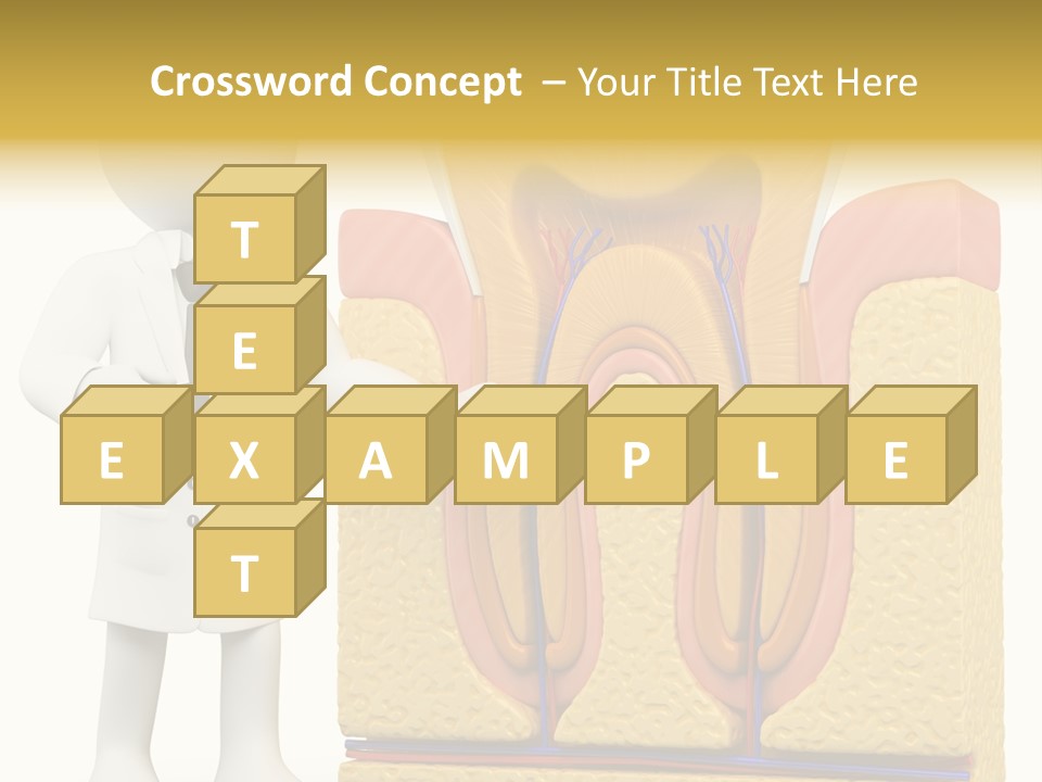 Human Concept Person PowerPoint Template